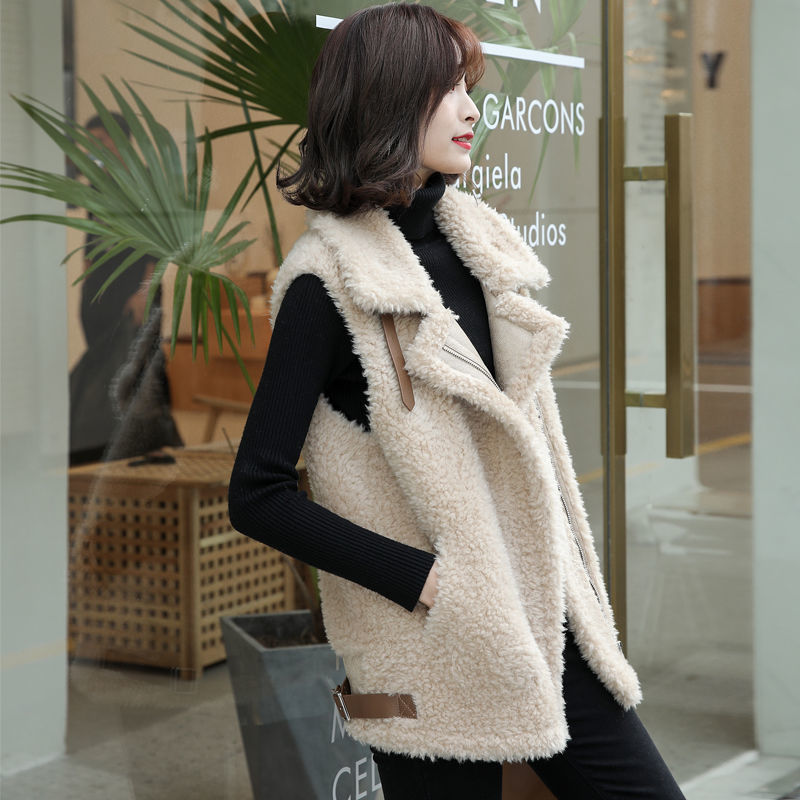 Spring And Autumn New Lamb Wool Vest Female Korean Version Loose Student Thickened Fur One Plush Vest Jacket